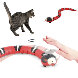 Automatic Electronic Snake Cat Toys | ORANGE KNIGHT & CO.