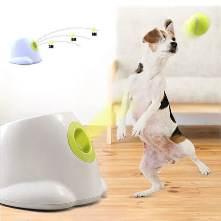 Dog pet Tennis Launcher | ORANGE KNIGHT & CO.