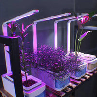 Hydroponic Indoor Herb Garden