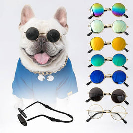 Pet Sunglasses | ORANGE KNIGHT & CO.