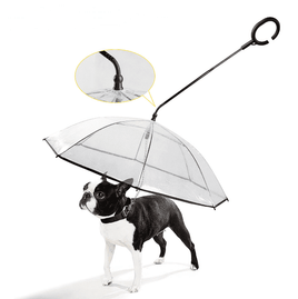 Transparent Pet Umbrella | ORANGE KNIGHT & CO.