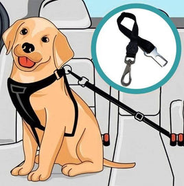 Pet Seatbelt | ORANGE KNIGHT & CO.