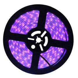 Purple UV LED Strip Lights | ORANGE KNIGHT & CO.