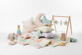 Baby Toys & Activity Gear