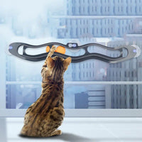 Suction Cup Window Track Ball Cat Toy for Felines