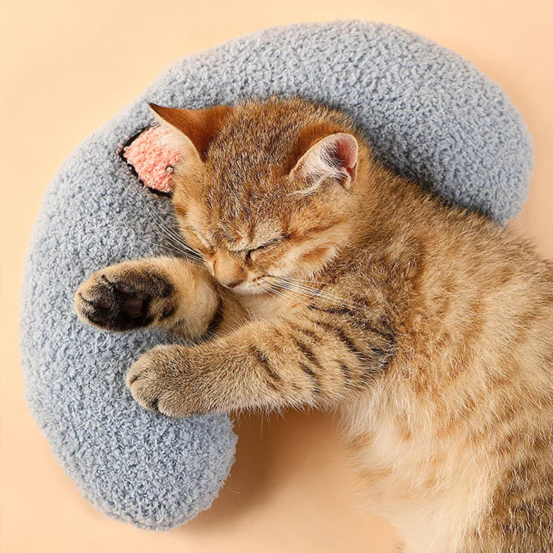Cat sleeping on blue U-shaped pet pillow