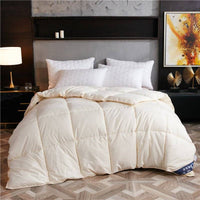 Hotels and hotels thicken students' fall and winter duvets | ORANGE KNIGHT & CO.