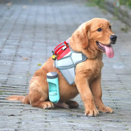 Golden retriever wearing a harness with a portable pet water bottle feeder attached, ideal for travel and outdoor activities.