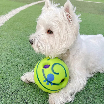 White dog resting with a green ball toy featuring blue patterns on a grassy field.