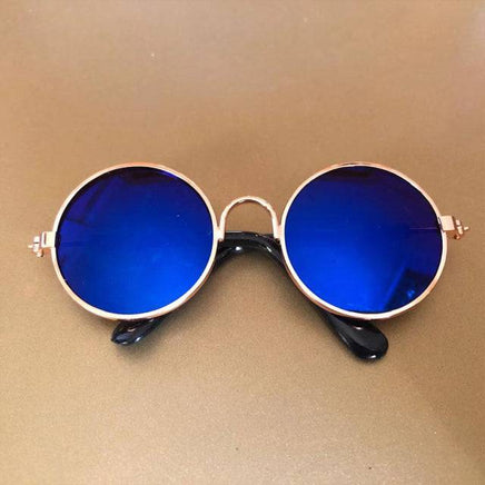 Pet Sunglasses | ORANGE KNIGHT & CO.