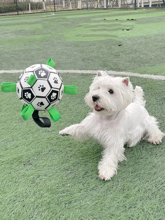 White dog playing with a black and white football toy featuring paw prints and green straps on a grassy field.