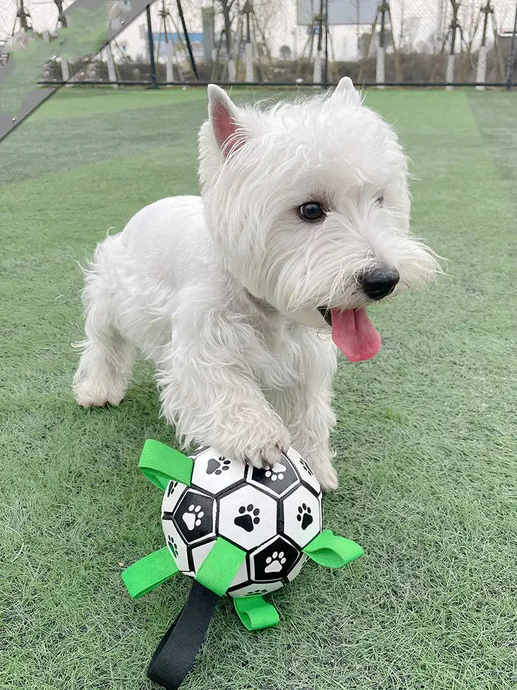 White dog playing with a black and white football toy featuring paw prints and green straps on a grassy field.