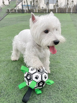 White dog playing with a black and white football toy featuring paw prints and green straps on a grassy field.