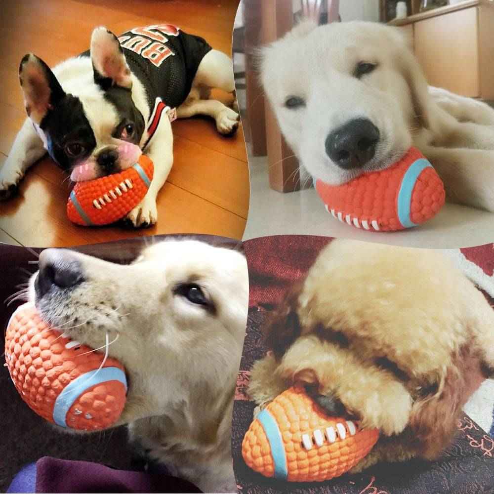 Squeaky Dog Toys shaped like footballs, enjoyed by various dog breeds, providing engaging playtime and entertainment.