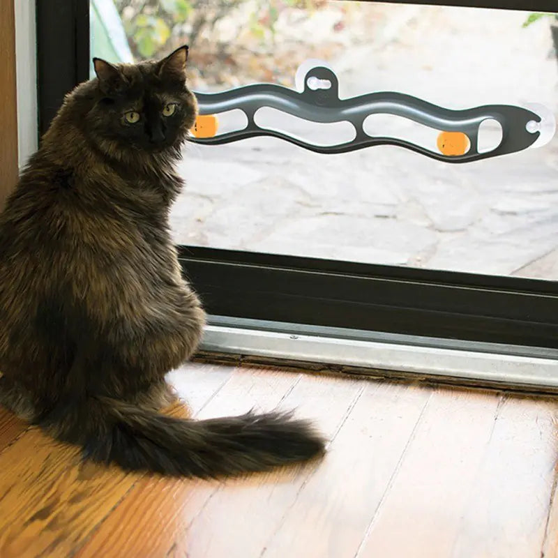 Cat playing with suction cup window track ball toy on glass