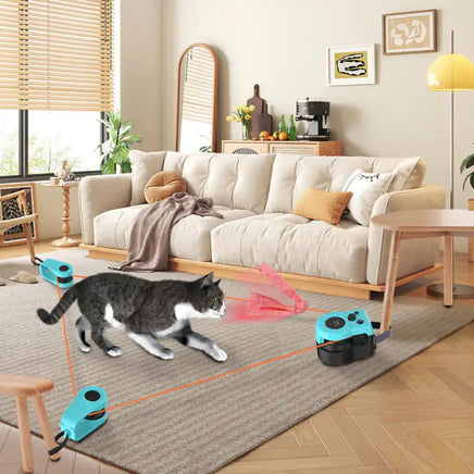 Cat playing with an interactive weight loss toy in a living room, engaging in active movement for exercise and stimulation.