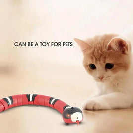 Interactive automatic cat toy in the shape of a red and black electronic snake with a curious cat observing it. Ideal for pet playtime.