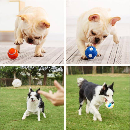 Small dog playing indoors with an orange squeaky ball, designed for interactive fun and entertainment.