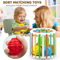 Baby Blocks Shape Sorter Toy in use, showing a child sorting colorful blocks, fostering cognitive and motor skill development.