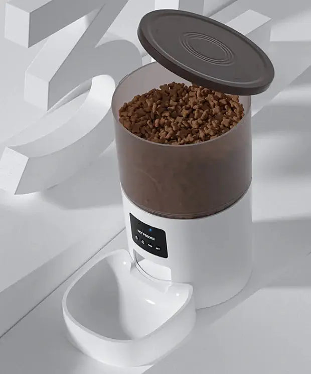 Open grain container of automatic pet feeder with camera for smart pet care