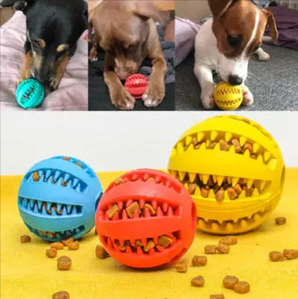 Dogs playing with colorful interactive rubber slow feeder balls filled with treats, showcasing their engaging design.