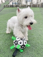 White dog holding a black and white football toy with paw prints and green straps on a grassy field.