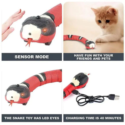 Features of the electronic snake toy for cats, including sensor mode, LED eyes, USB charging, and interactive play benefits for pets.