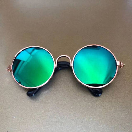 Pet Sunglasses | ORANGE KNIGHT & CO.