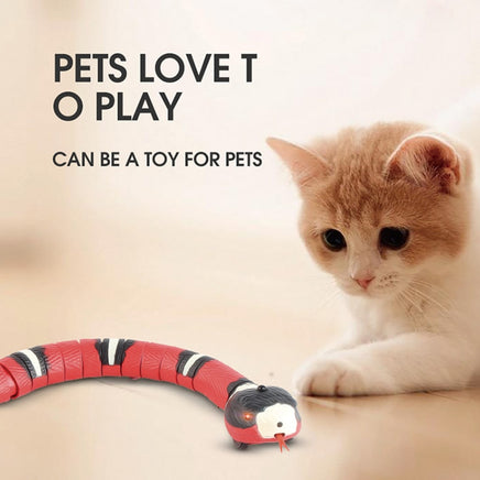 Automatic Electronic Snake Cat Toys | ORANGE KNIGHT & CO.