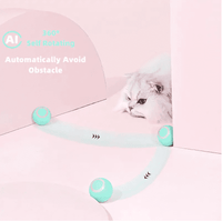 Smart Cat Ball Toys | ORANGE KNIGHT & CO.