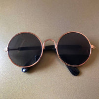 Pet Sunglasses | ORANGE KNIGHT & CO.