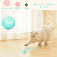 Smart Cat Ball Toys | ORANGE KNIGHT & CO.