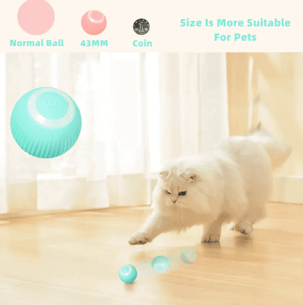 Smart Cat Ball Toys | ORANGE KNIGHT & CO.