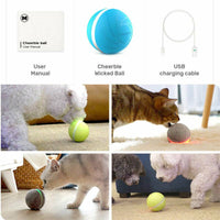 LED Pet Ball | ORANGE KNIGHT & CO.