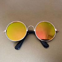 Pet Sunglasses | ORANGE KNIGHT & CO.