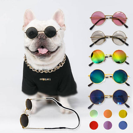 Pet Sunglasses | ORANGE KNIGHT & CO.